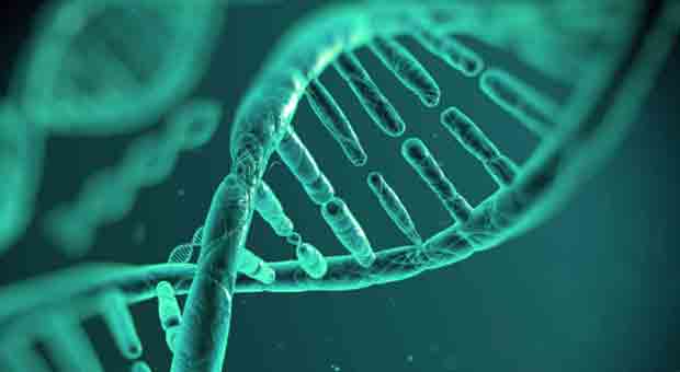 New Zealand Introduces New 'Gene Technology Bill' After 'Success' of COVID-19